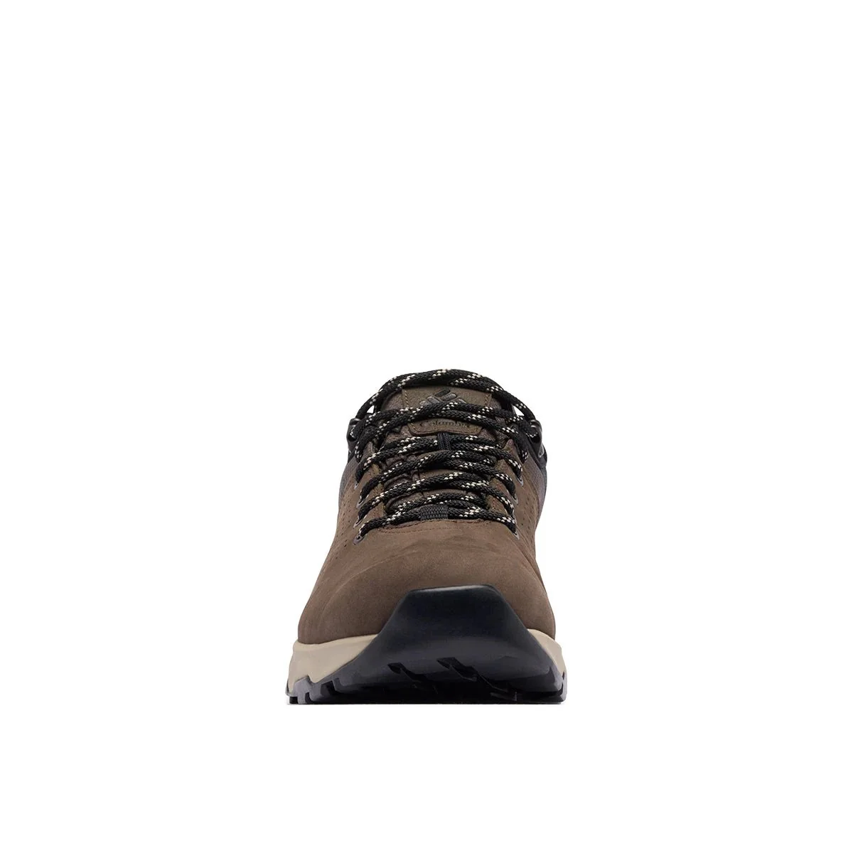 Thumbnail 15